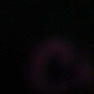 Brand New! Josie Maran Liquid Gold!